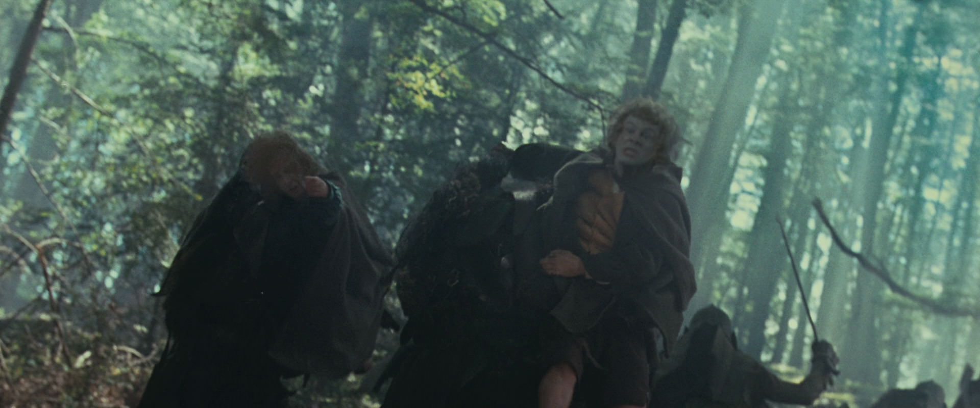 The Lord of the Rings: The Fellowship of the Ring (2001) movie still 22564