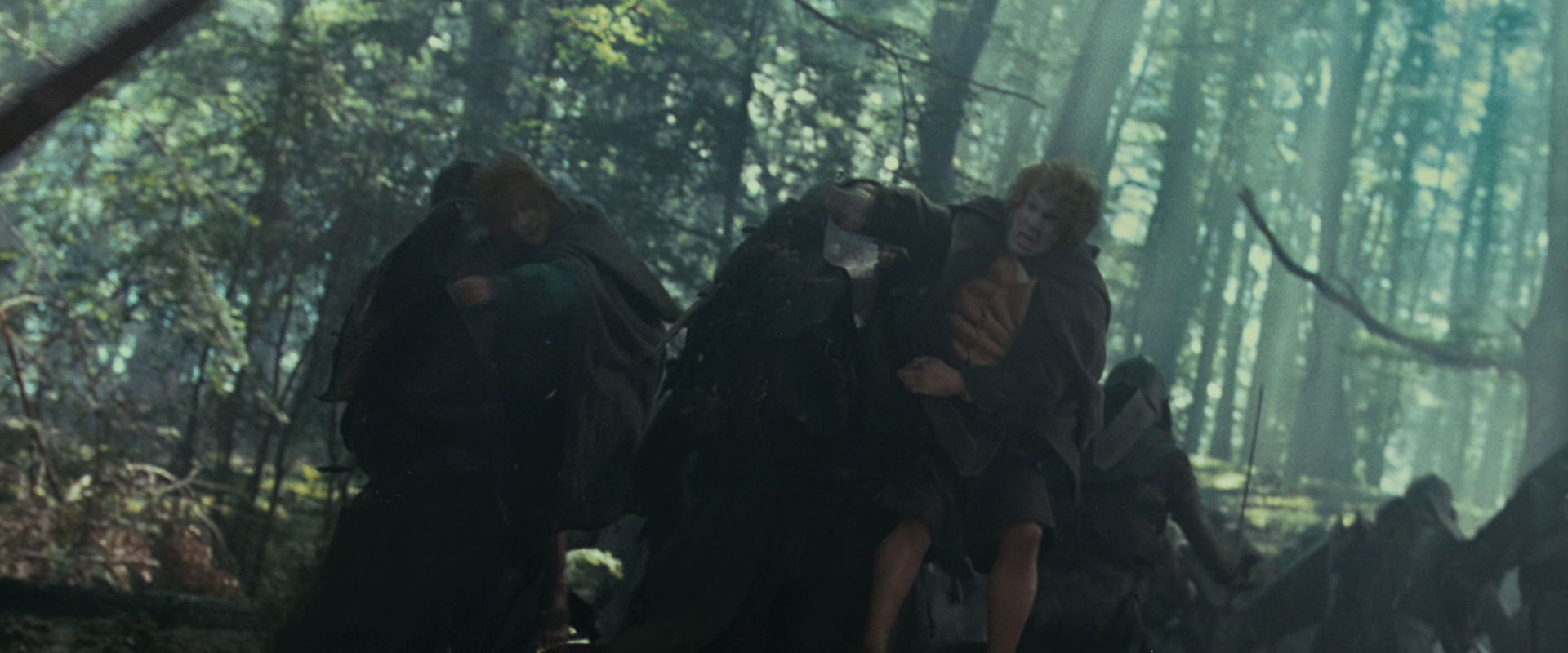 The Lord of the Rings: The Fellowship of the Ring (2001) HD screenshot 22565