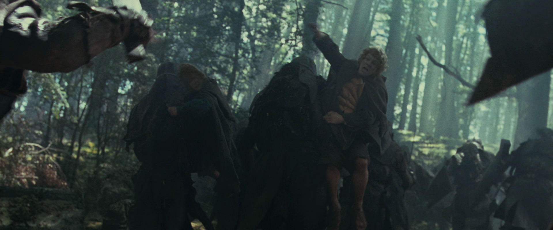 The Lord of the Rings: The Fellowship of the Ring (2001) screencap 22566