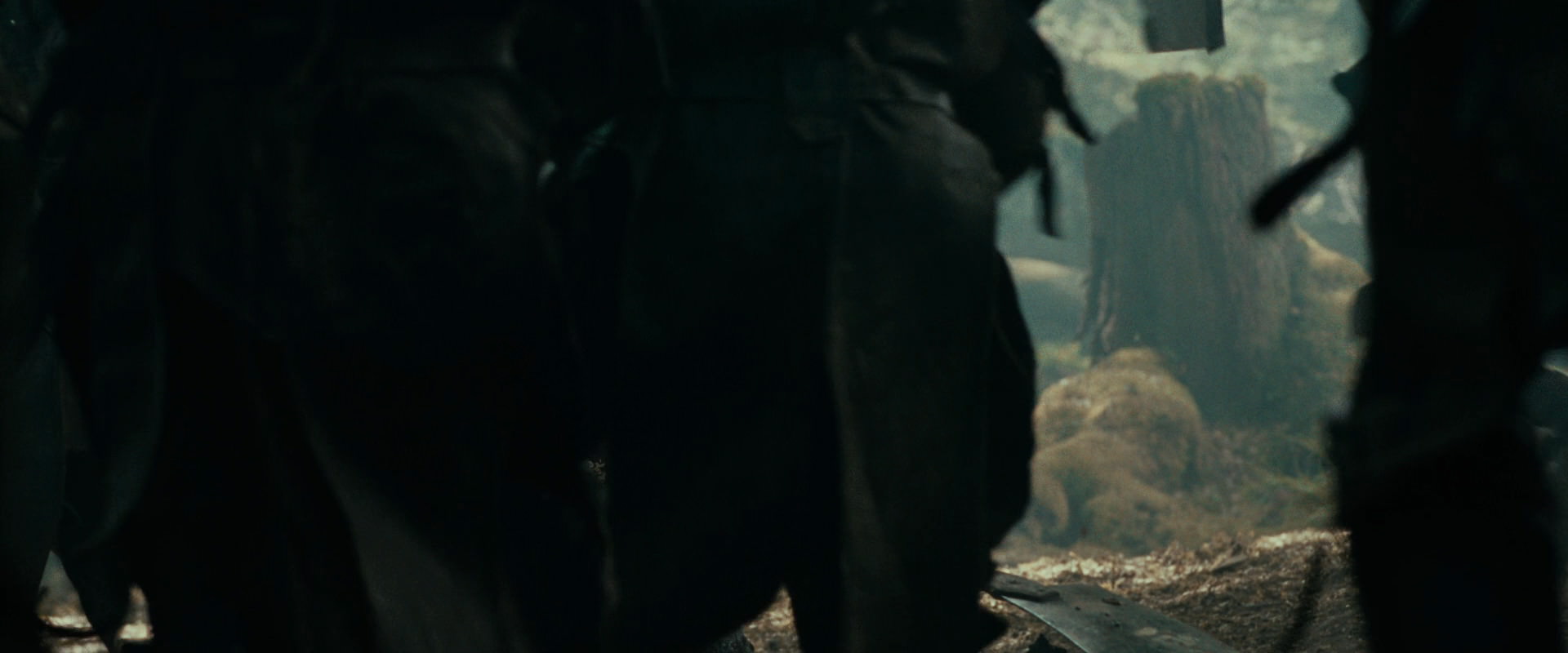 The Lord of the Rings: The Fellowship of the Ring (2001) HD screenshot 22580
