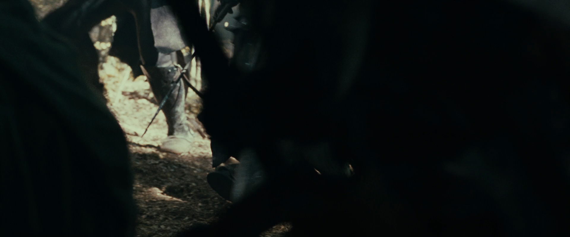 The Lord of the Rings: The Fellowship of the Ring (2001) screencap 22584