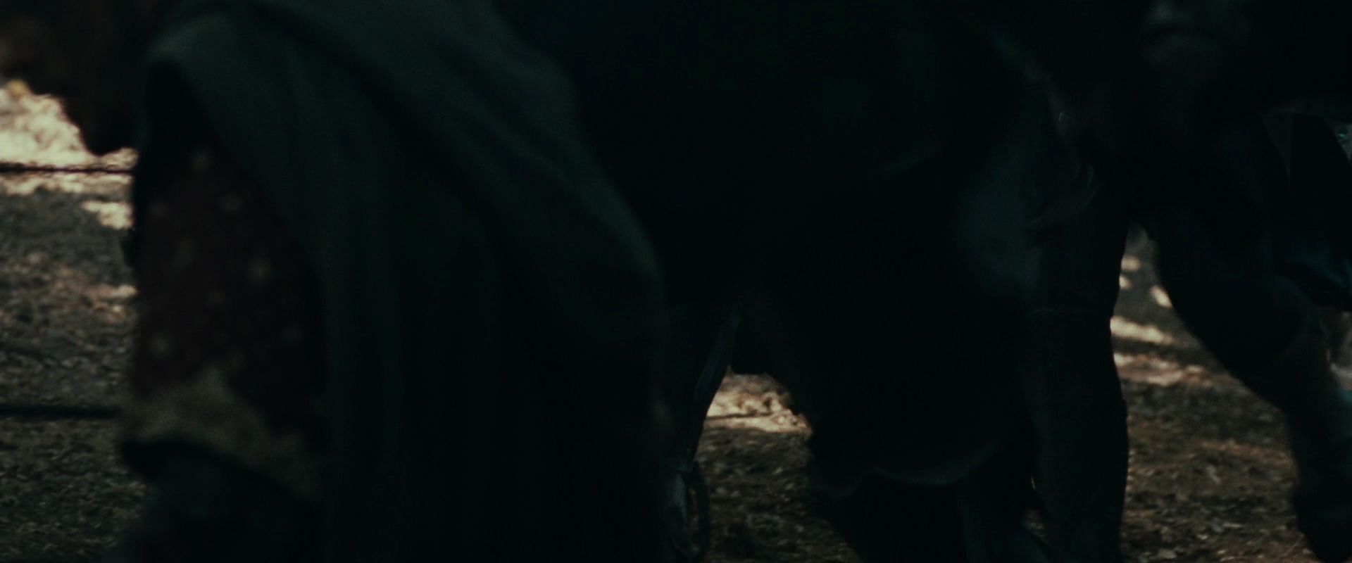 The Lord of the Rings: The Fellowship of the Ring (2001) movie still 22588