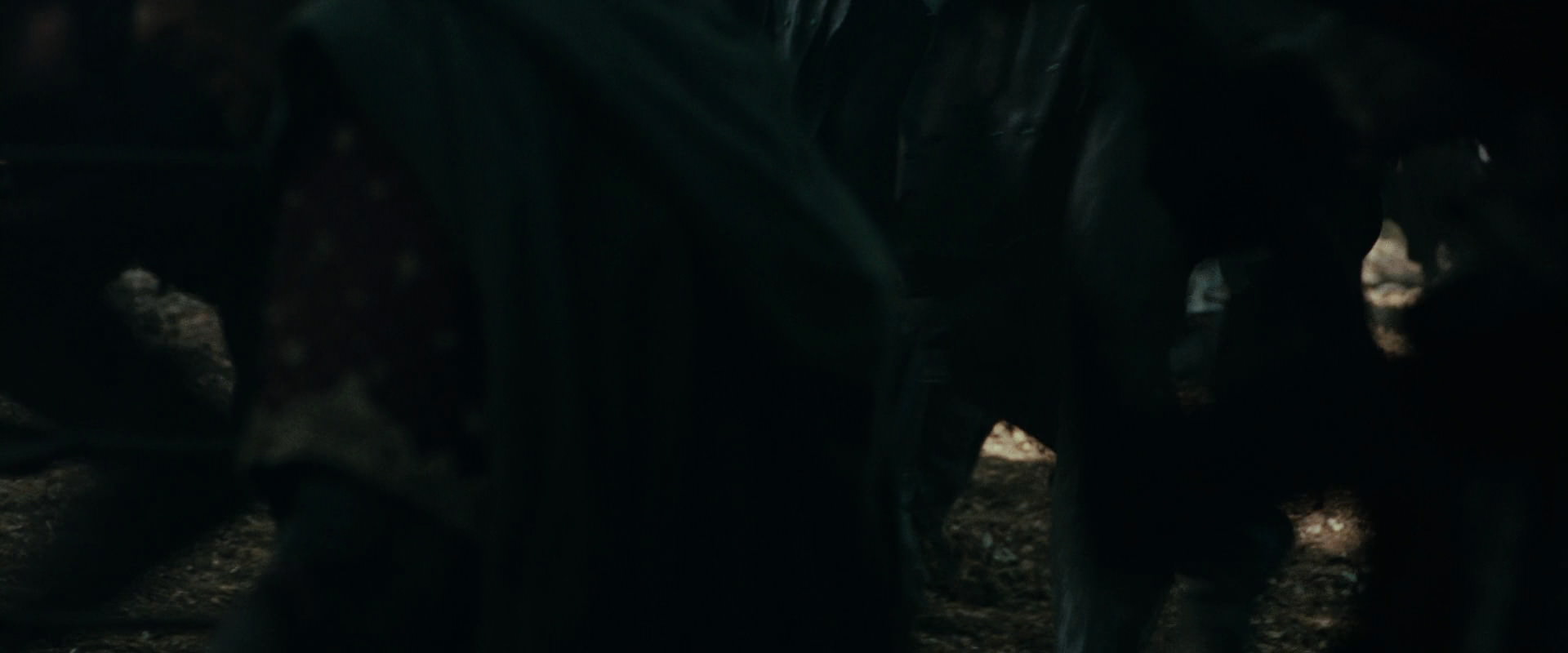 The Lord of the Rings: The Fellowship of the Ring (2001) HD screenshot 22589