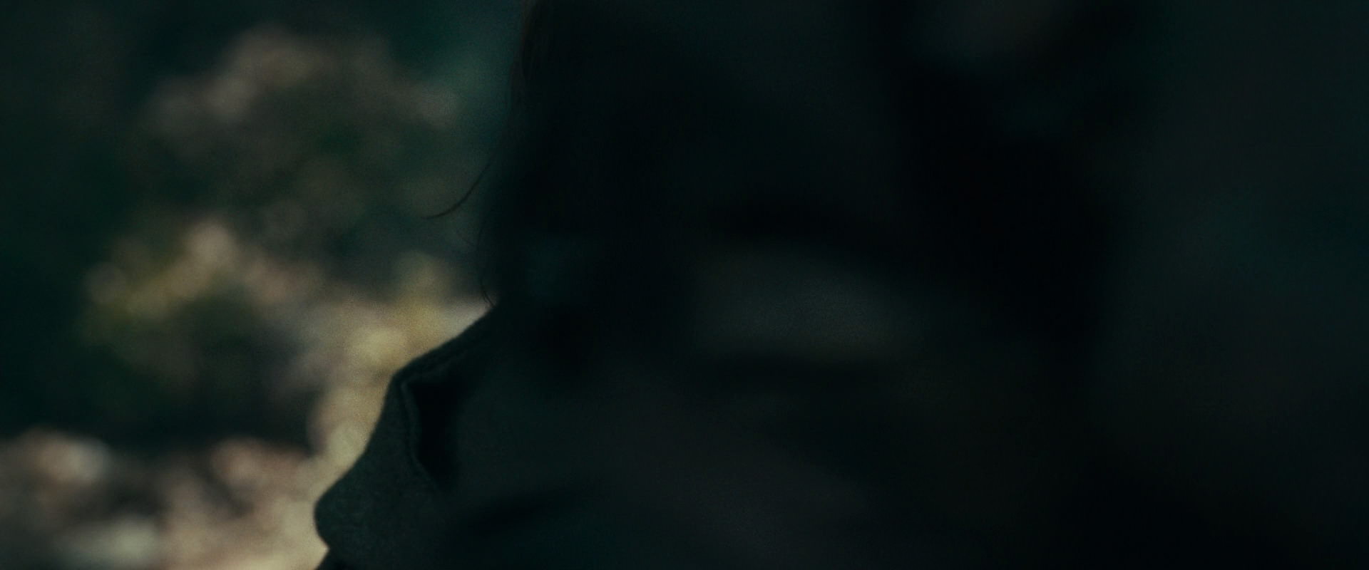 The Lord of the Rings: The Fellowship of the Ring (2001) HD screenshot 22592