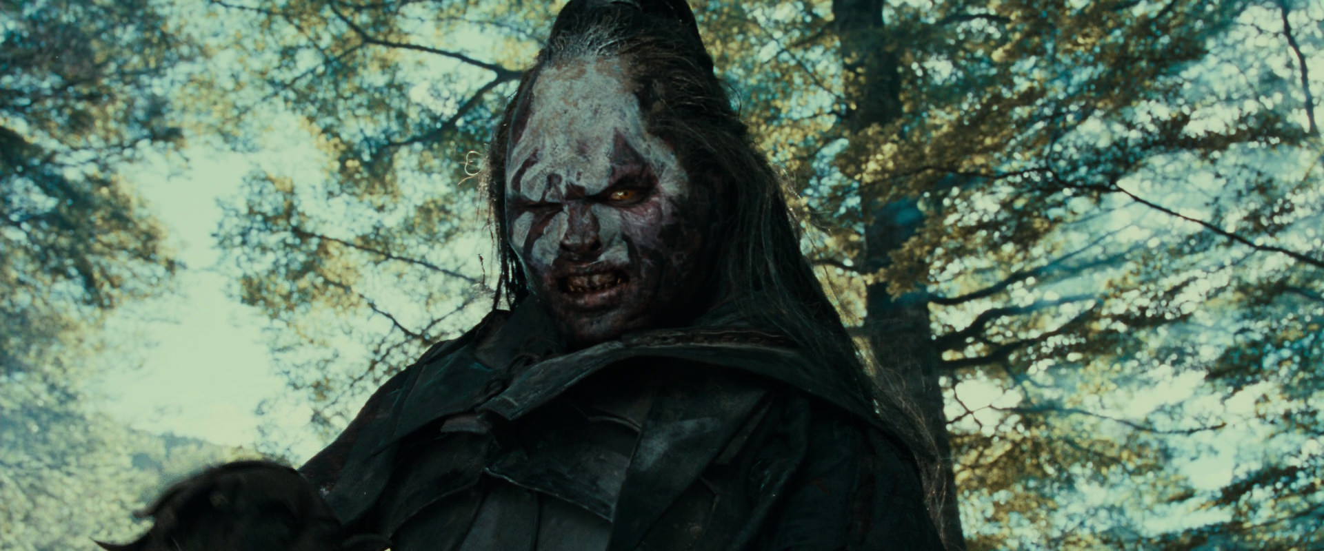 The Lord of the Rings: The Fellowship of the Ring (2001) movie still 22612