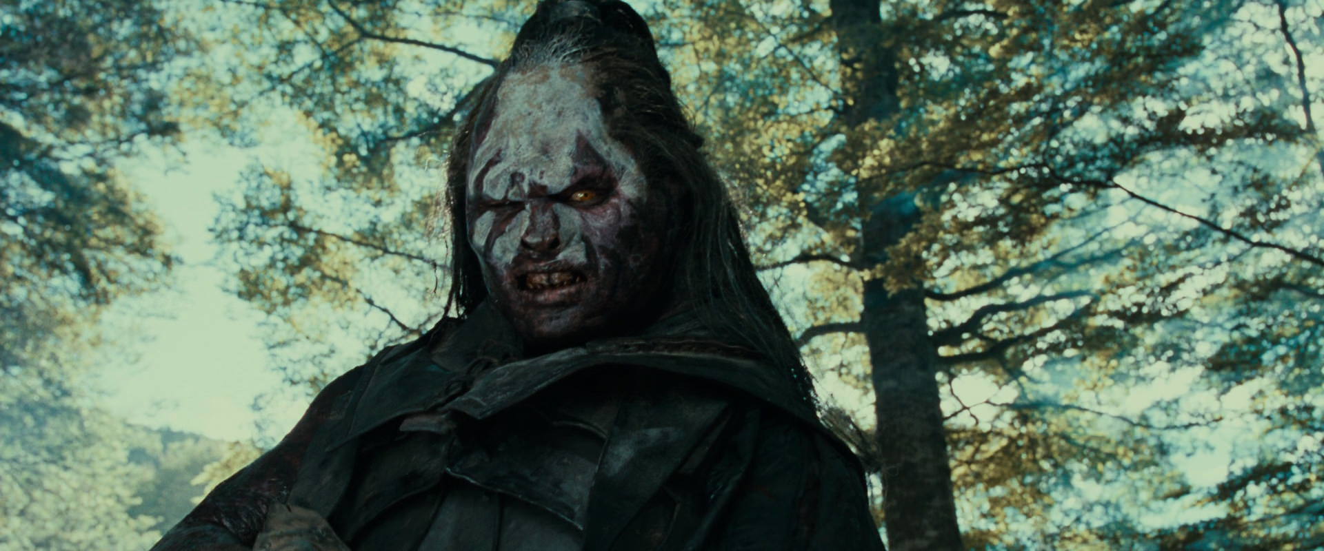 The Lord of the Rings: The Fellowship of the Ring (2001) HD screenshot 22613