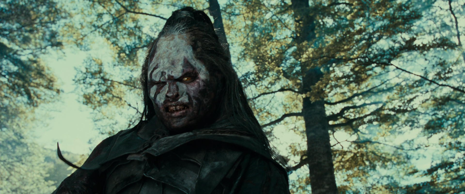 The Lord of the Rings: The Fellowship of the Ring (2001) screencap 22614