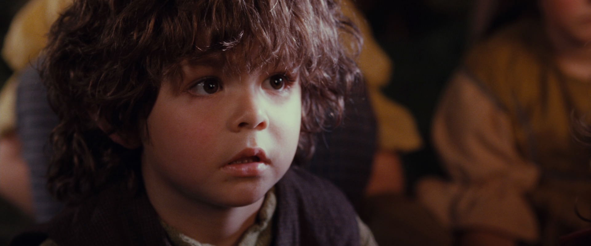 The Lord of the Rings: The Fellowship of the Ring (2001) screencap 2262