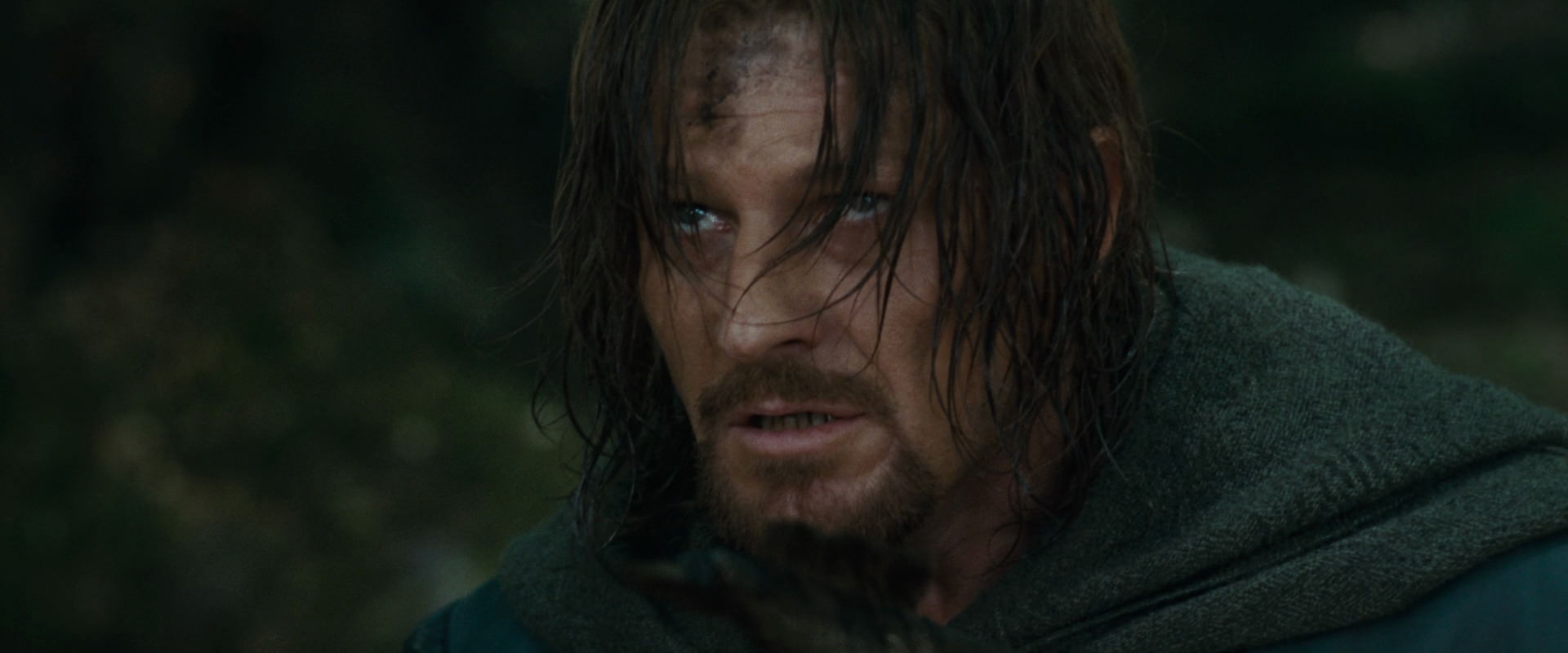 The Lord of the Rings: The Fellowship of the Ring (2001) screencap 22629