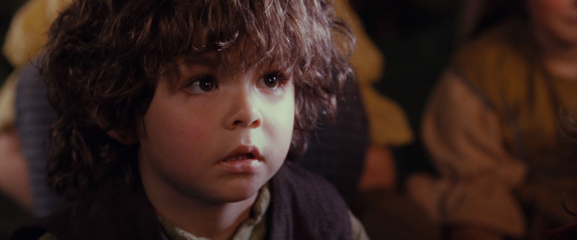 The Lord of the Rings: The Fellowship of the Ring (2001) movie still 2263