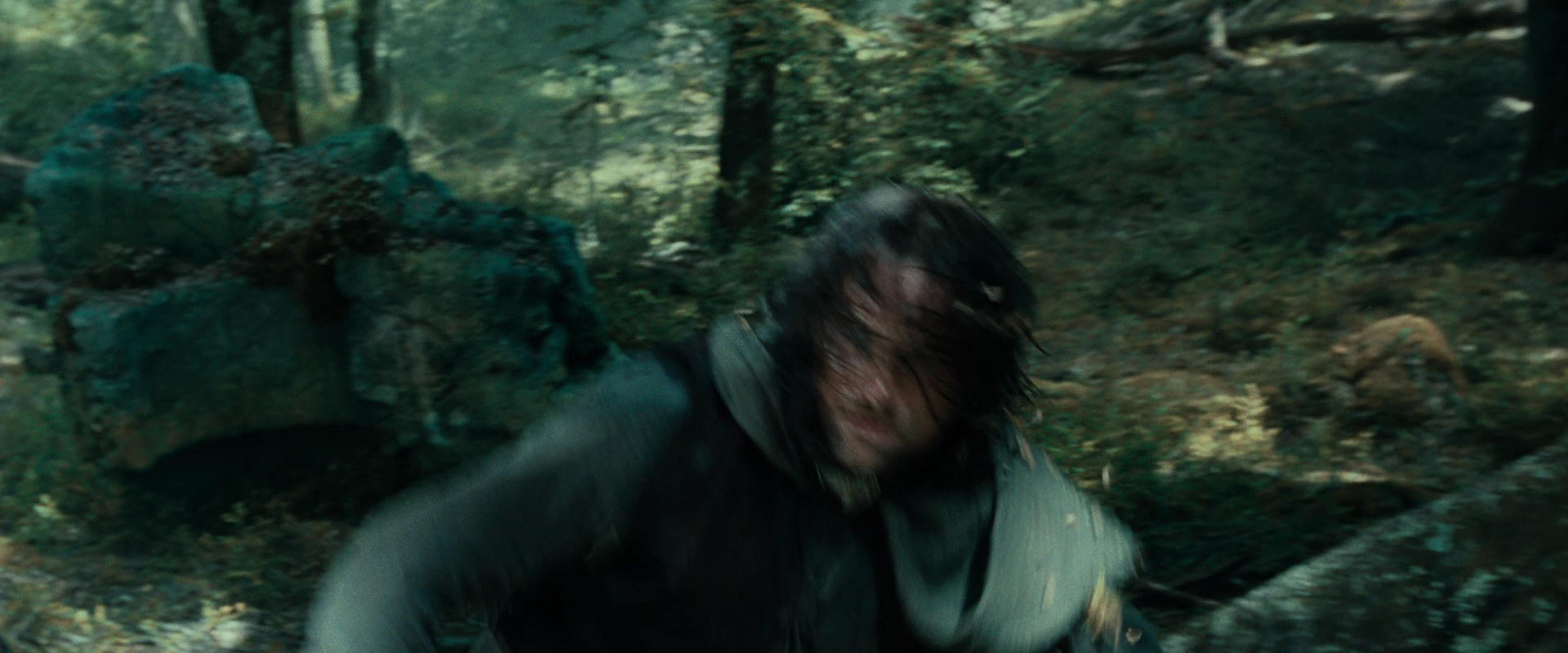 The Lord of the Rings: The Fellowship of the Ring (2001) movie still 22639