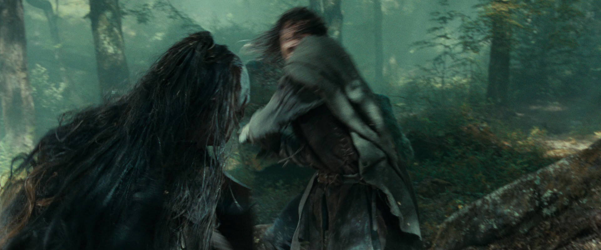 The Lord of the Rings: The Fellowship of the Ring (2001) HD screenshot 22640