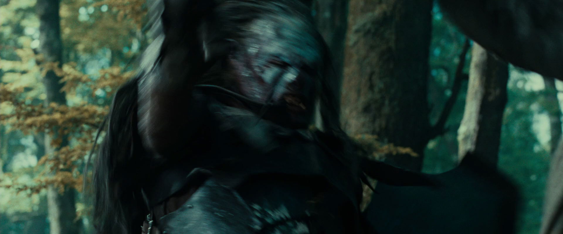 The Lord of the Rings: The Fellowship of the Ring (2001) screencap 22641