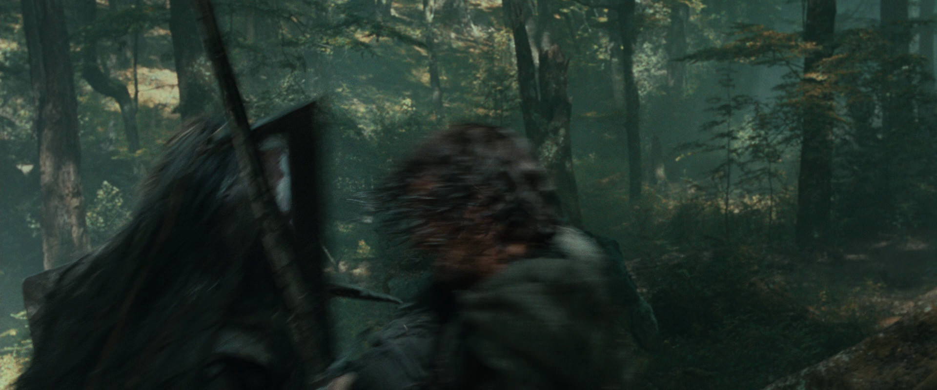 The Lord of the Rings: The Fellowship of the Ring (2001) movie still 22645
