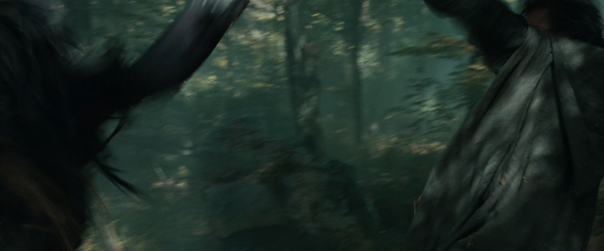 The Lord of the Rings: The Fellowship of the Ring (2001) HD screenshot 22646