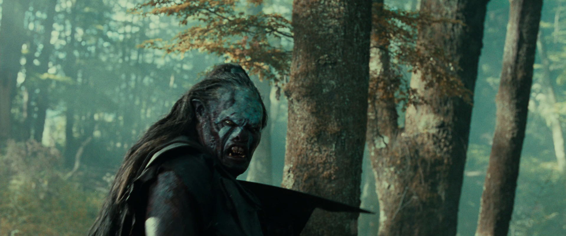 The Lord of the Rings: The Fellowship of the Ring (2001) movie still 22648