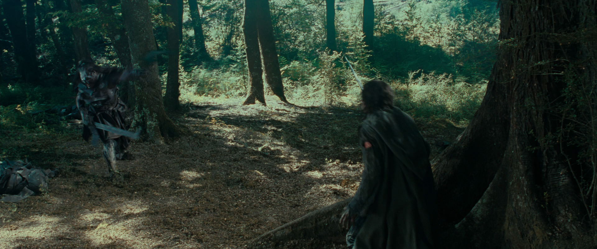The Lord of the Rings: The Fellowship of the Ring (2001) HD screenshot 22649