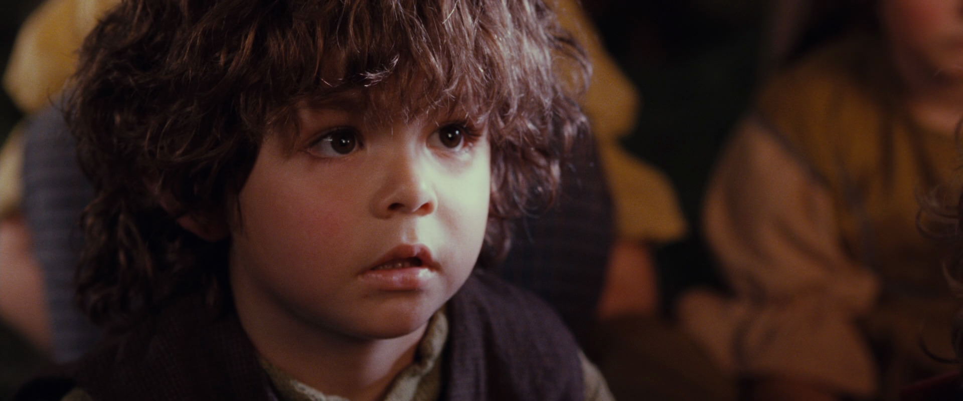 The Lord of the Rings: The Fellowship of the Ring (2001) screencap 2265