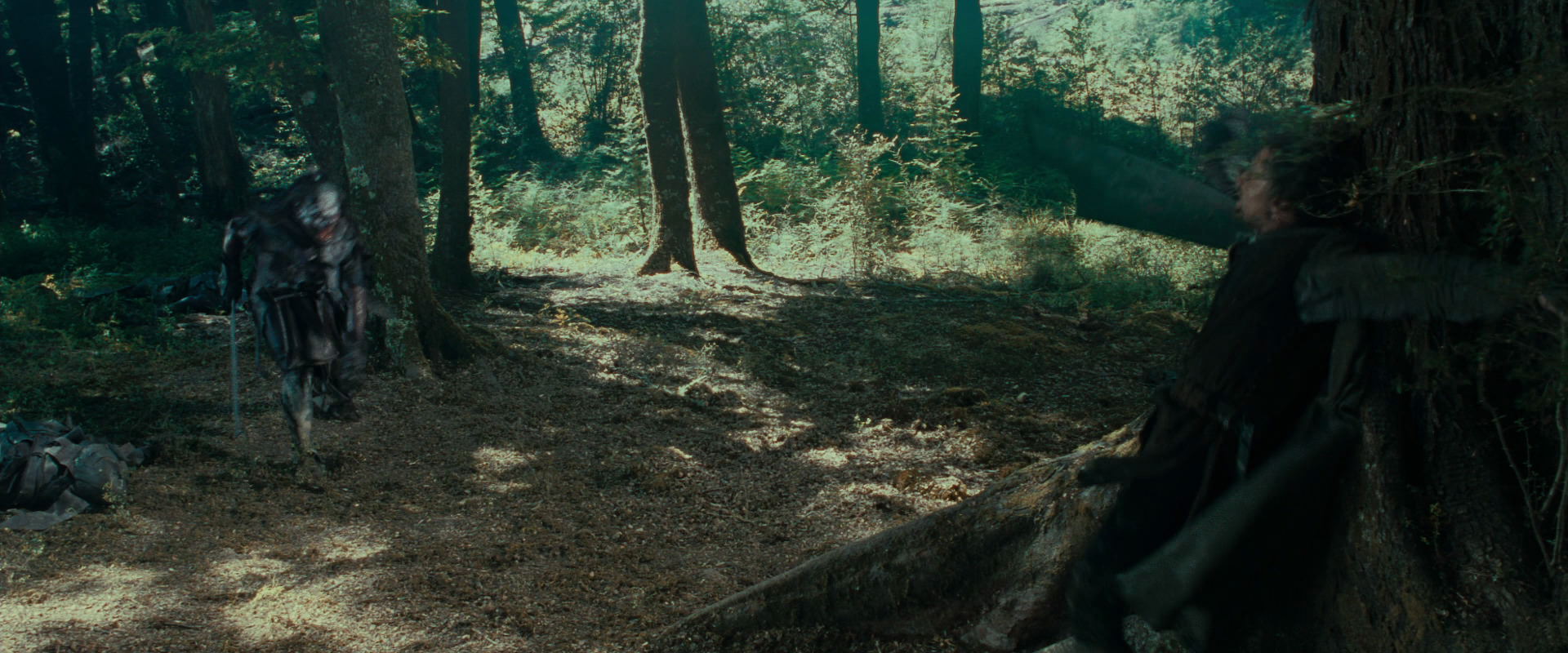 The Lord of the Rings: The Fellowship of the Ring (2001) screencap 22650