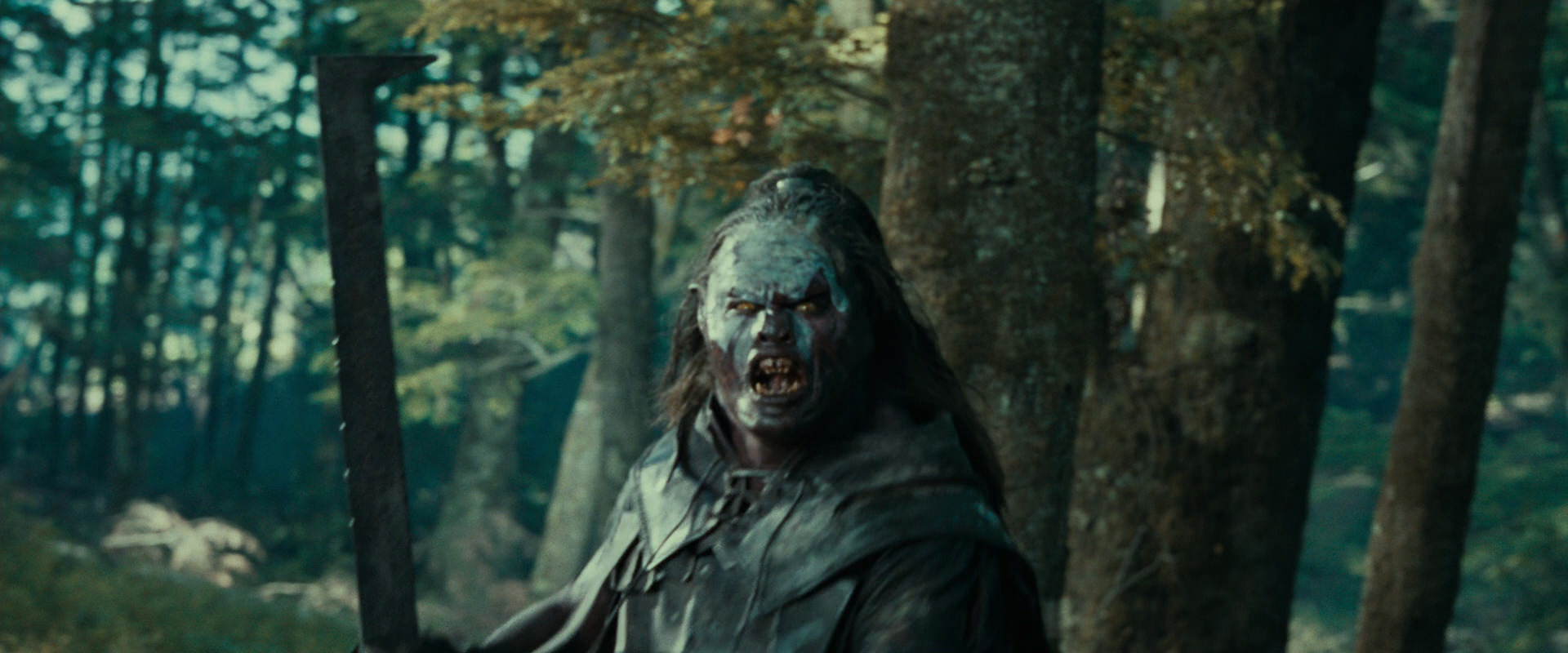 The Lord of the Rings: The Fellowship of the Ring (2001) screencap 22653