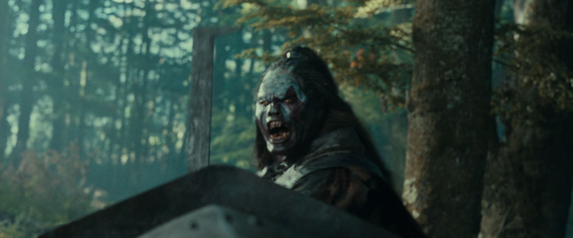 The Lord of the Rings: The Fellowship of the Ring (2001) HD screenshot 22655
