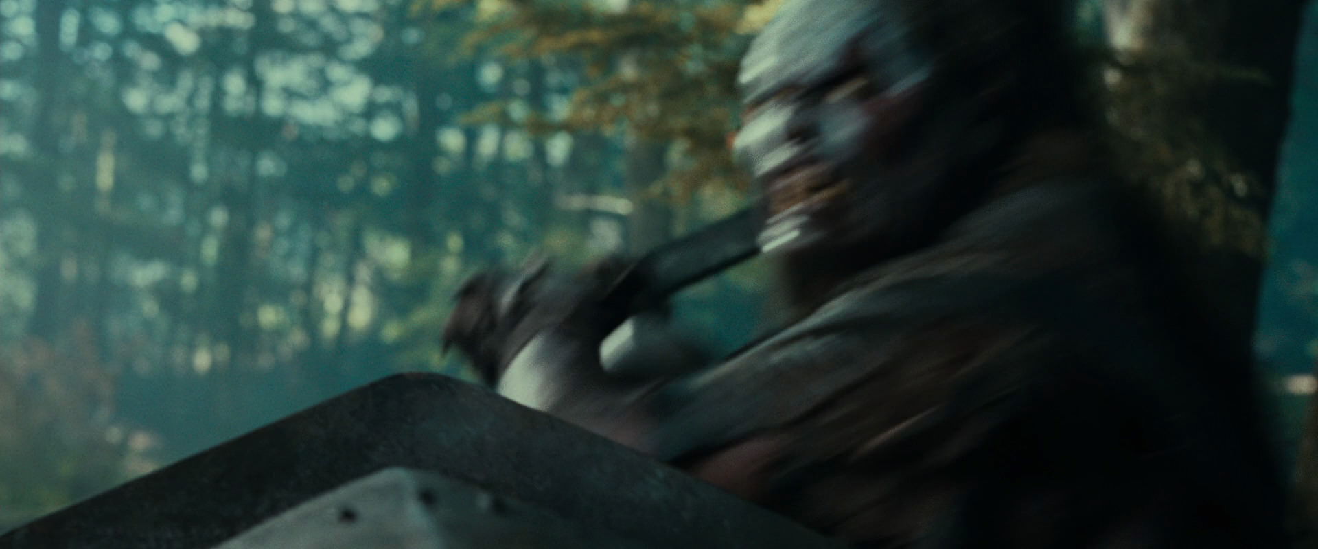 The Lord of the Rings: The Fellowship of the Ring (2001) screencap 22656