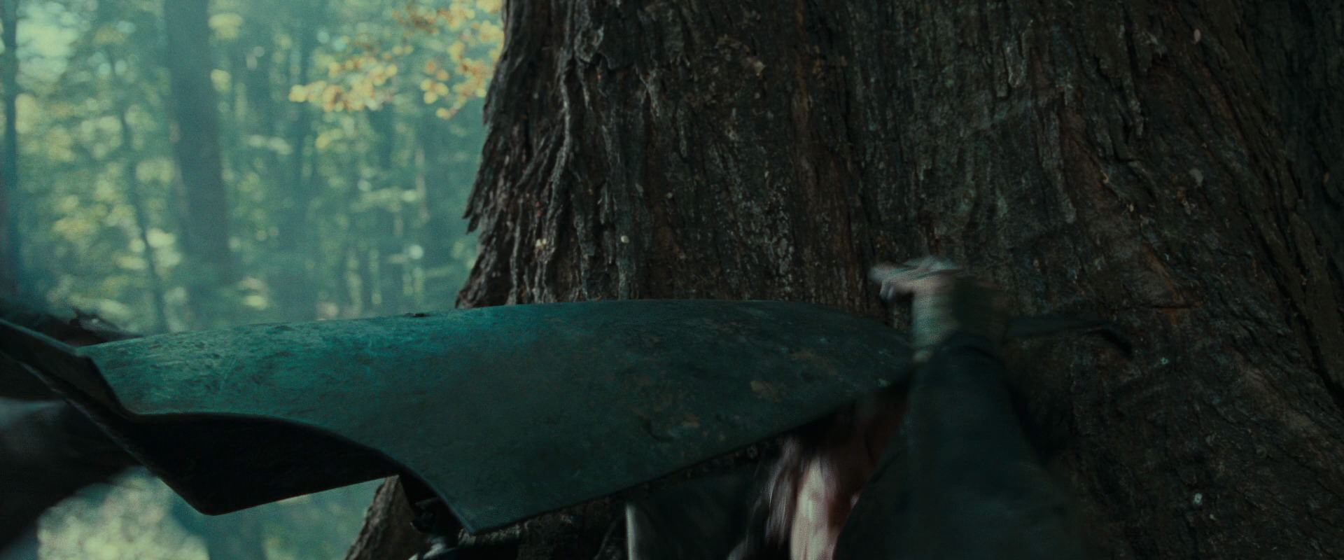The Lord of the Rings: The Fellowship of the Ring (2001) movie still 22657