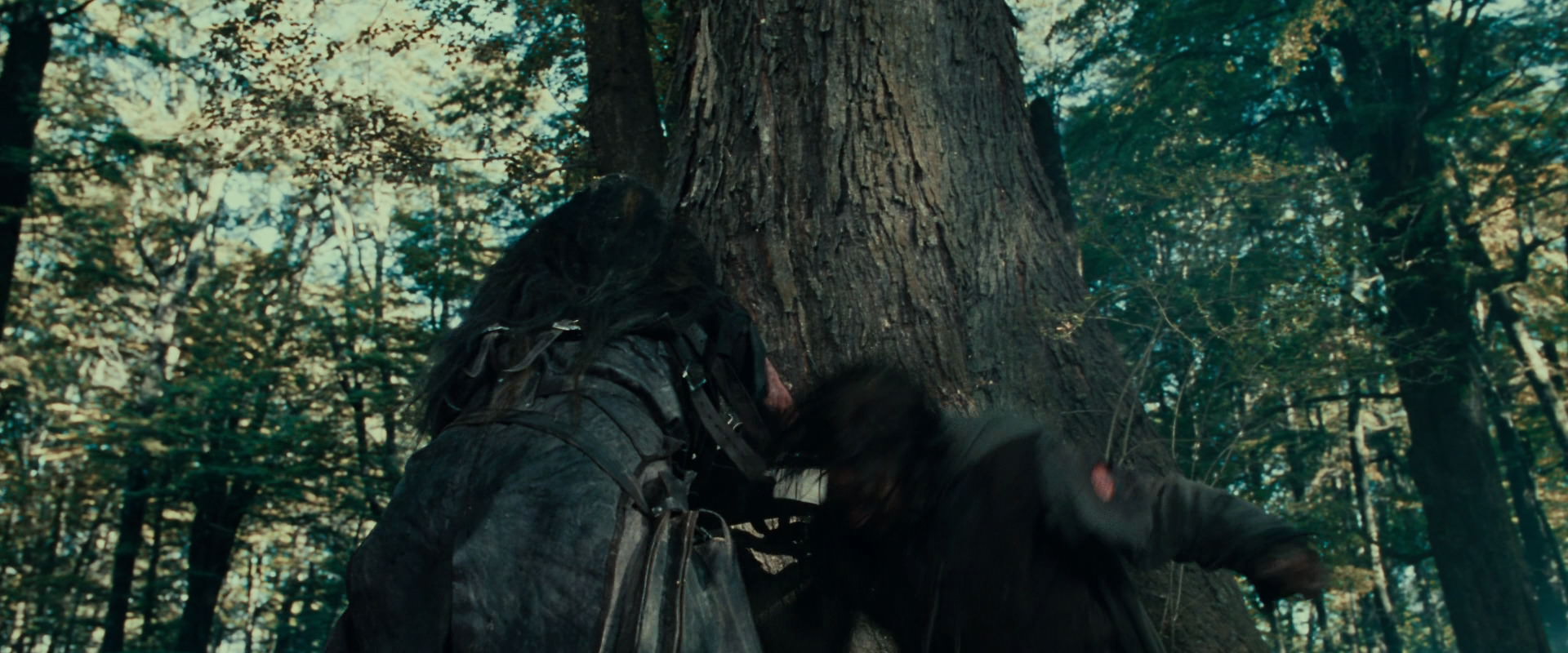 The Lord of the Rings: The Fellowship of the Ring (2001) HD screenshot 22658