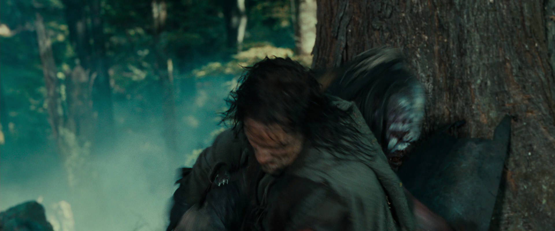 The Lord of the Rings: The Fellowship of the Ring (2001) screencap 22659