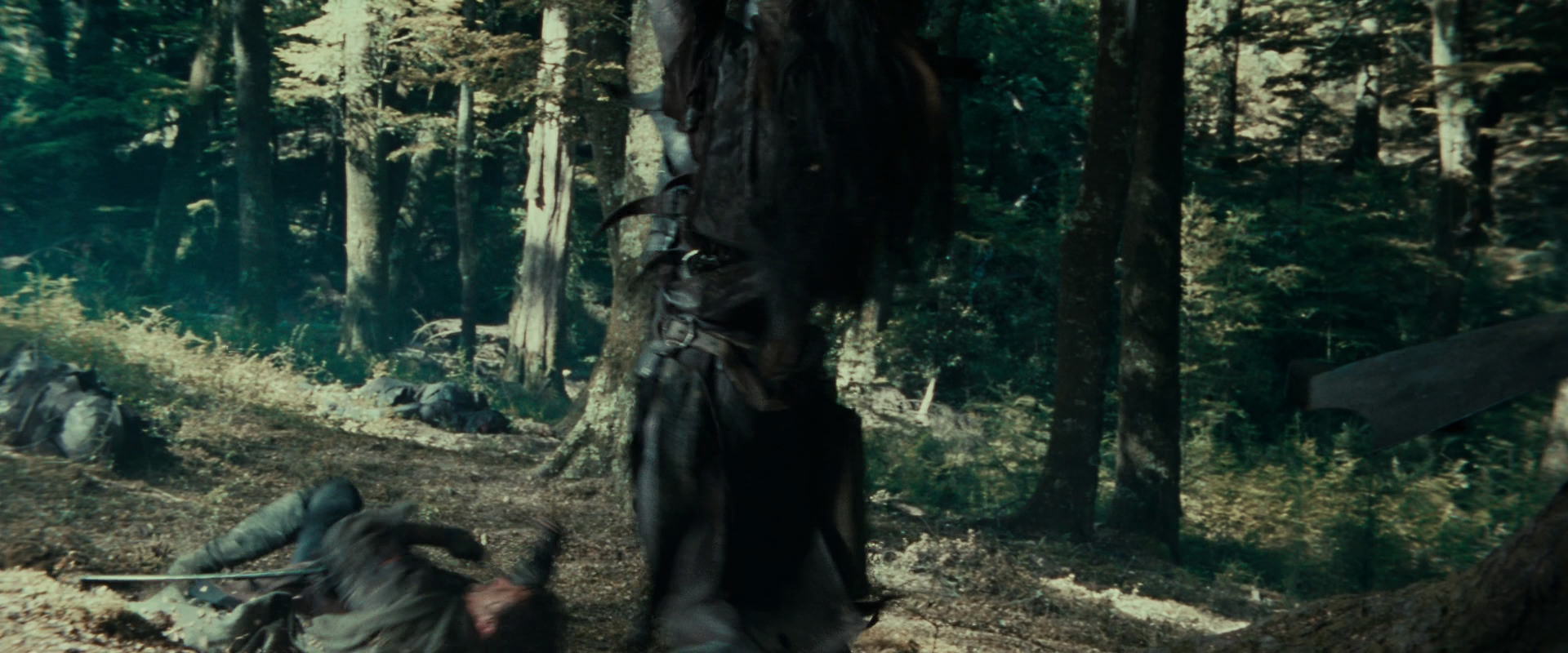 The Lord of the Rings: The Fellowship of the Ring (2001) screencap 22662