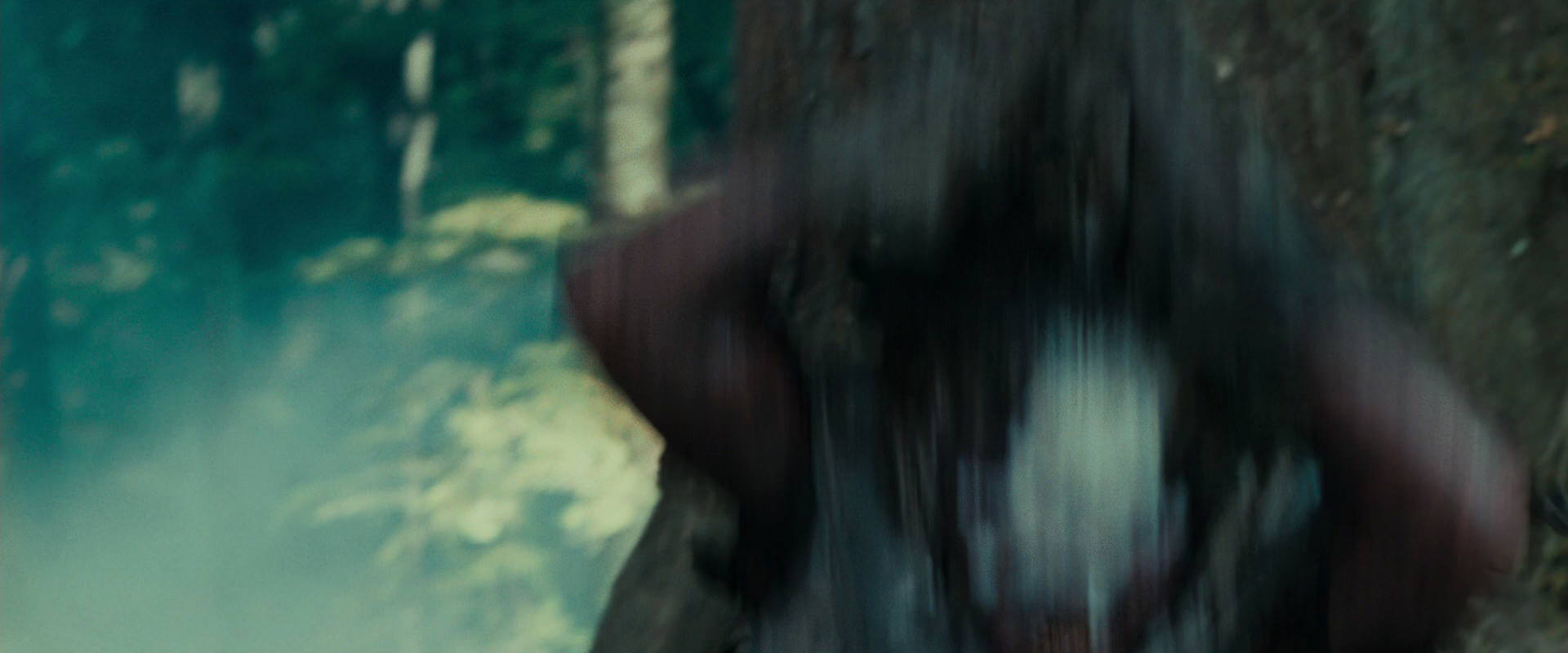 The Lord of the Rings: The Fellowship of the Ring (2001) movie still 22663
