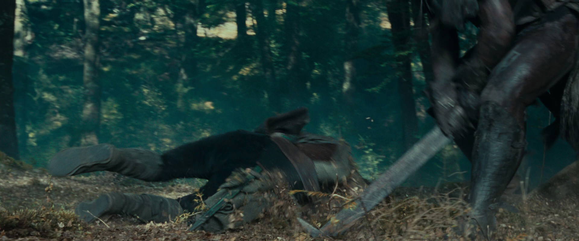 The Lord of the Rings: The Fellowship of the Ring (2001) HD screenshot 22664