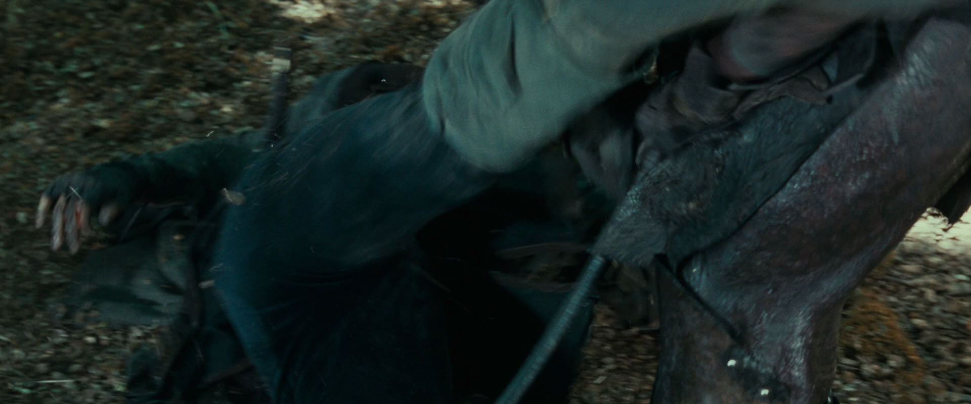 The Lord of the Rings: The Fellowship of the Ring (2001) screencap 22665