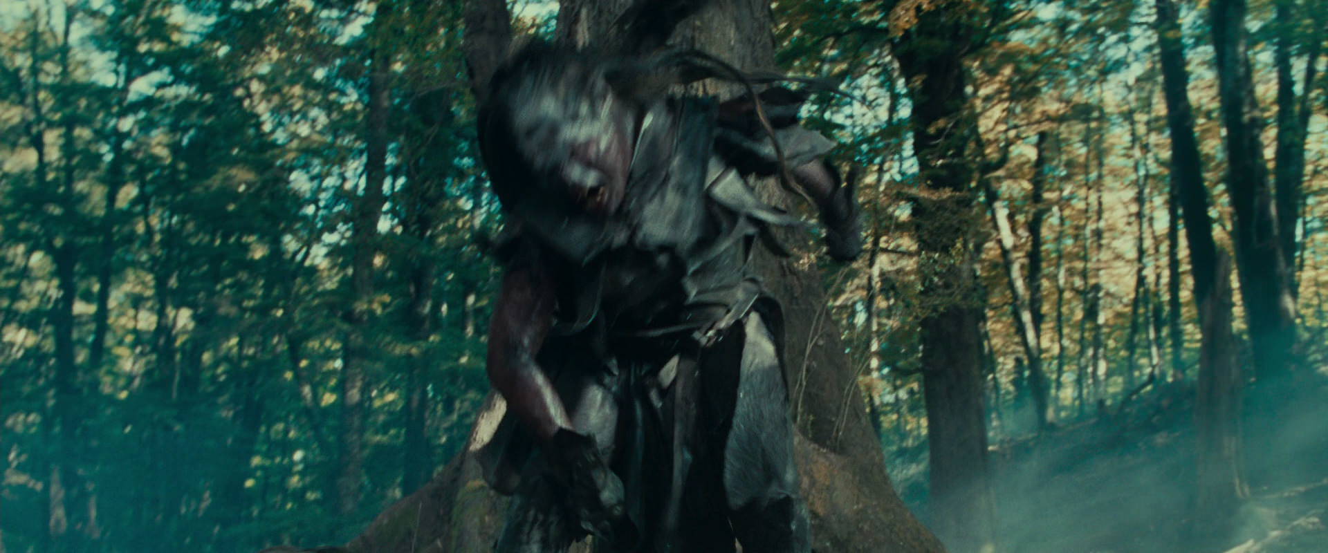 The Lord of the Rings: The Fellowship of the Ring (2001) movie still 22666