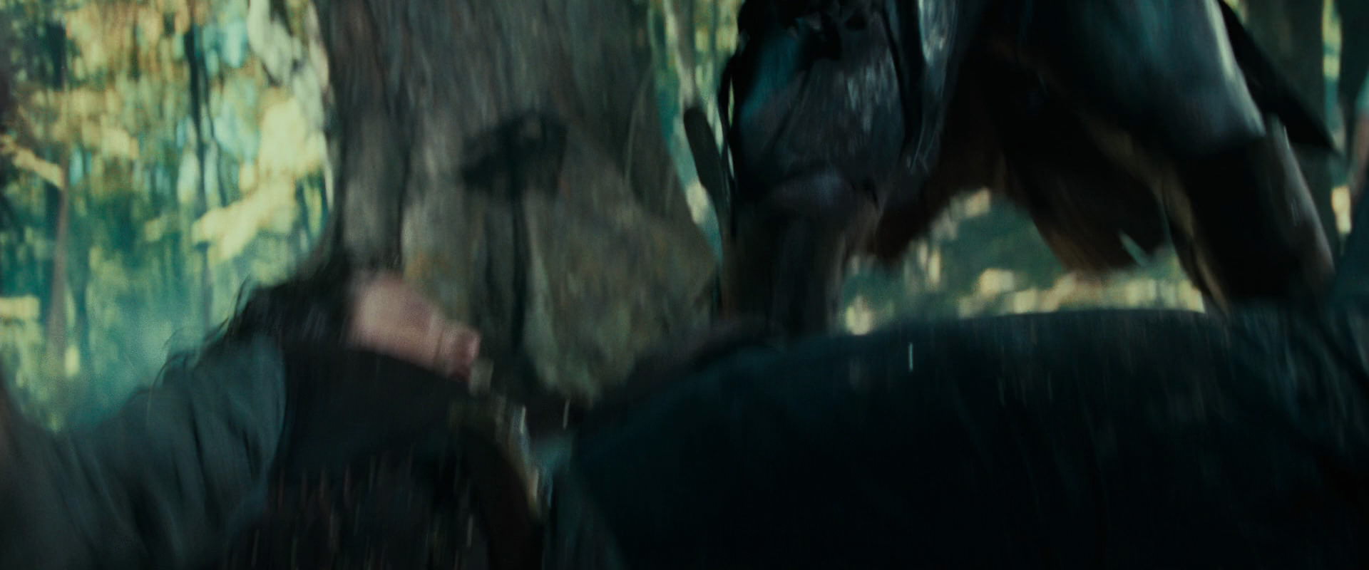 The Lord of the Rings: The Fellowship of the Ring (2001) HD screenshot 22667