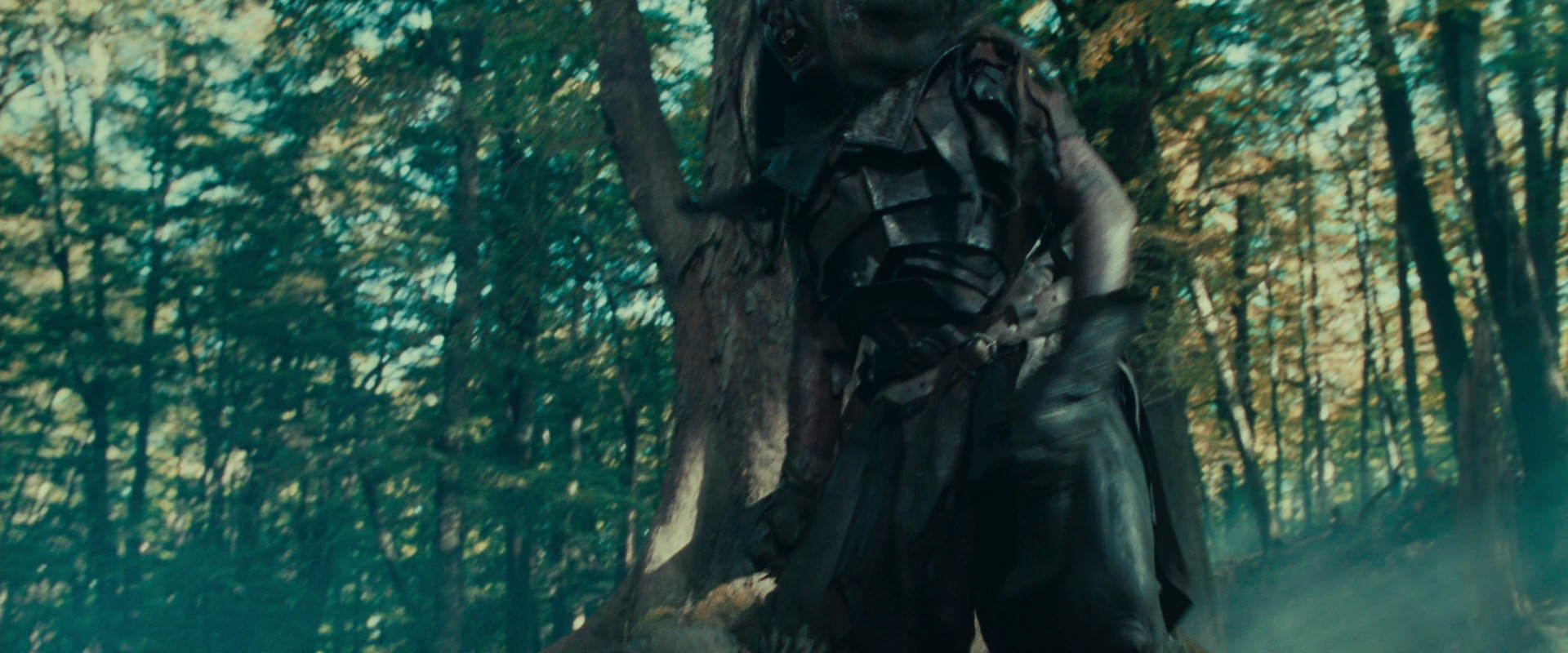 The Lord of the Rings: The Fellowship of the Ring (2001) movie still 22669