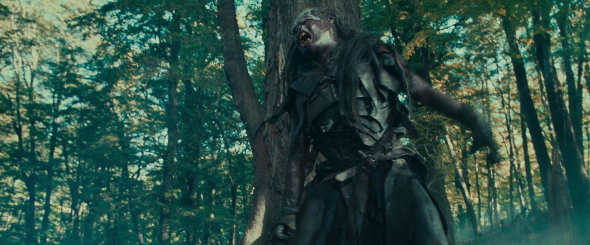 The Lord of the Rings: The Fellowship of the Ring (2001) HD screenshot 22670