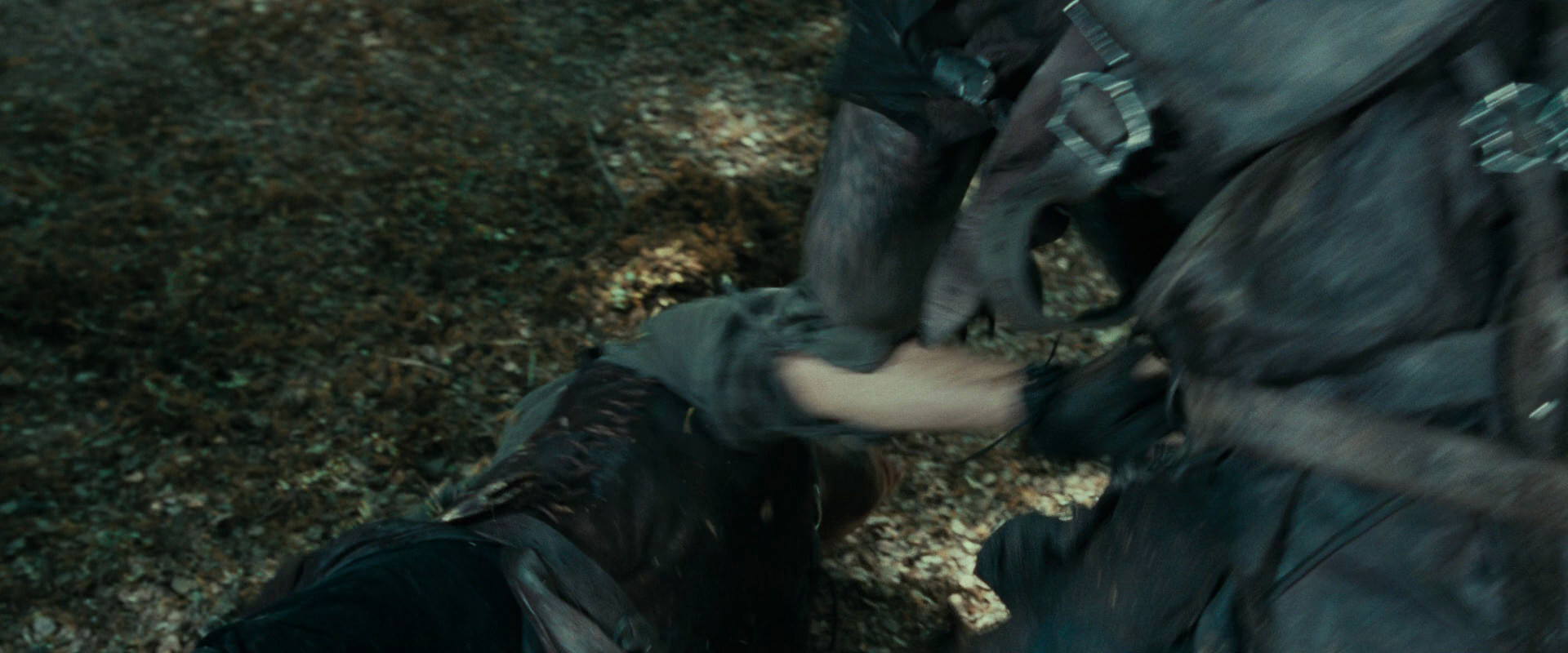 The Lord of the Rings: The Fellowship of the Ring (2001) HD screenshot 22673