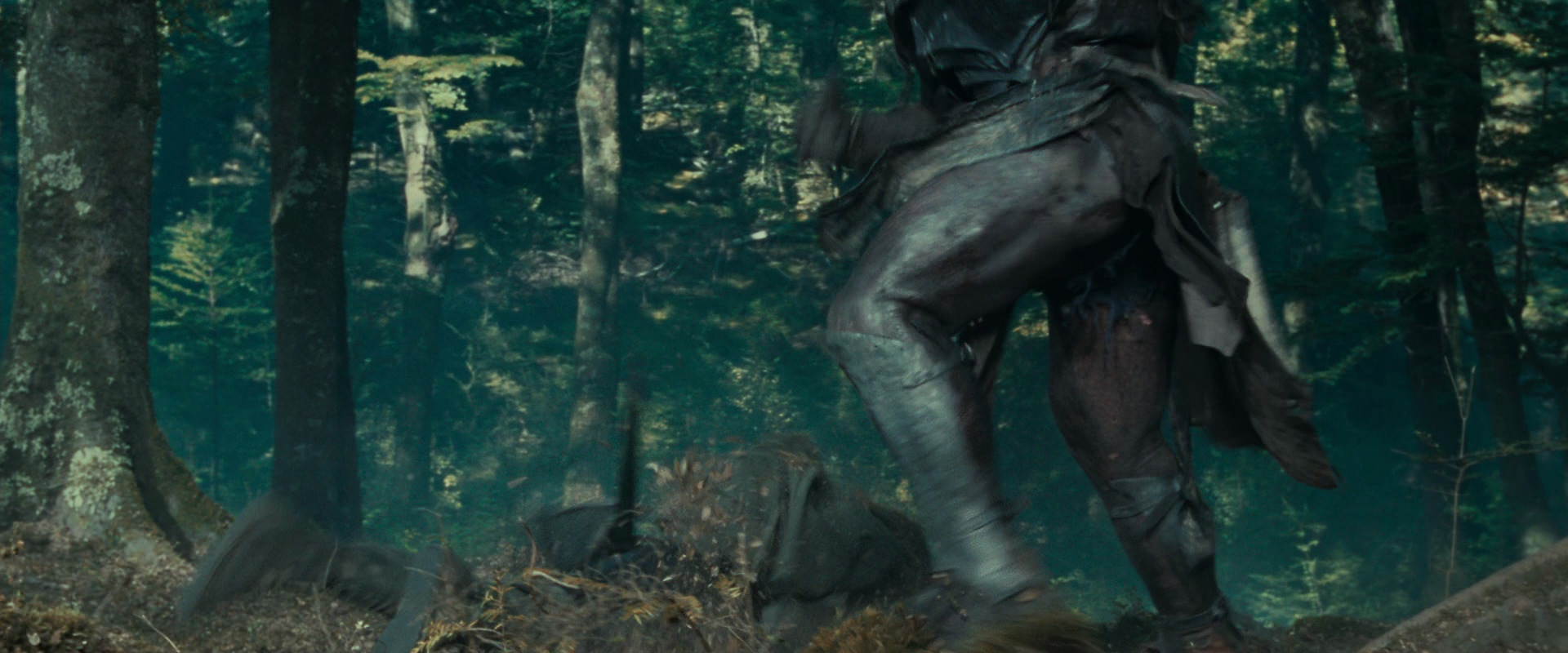 The Lord of the Rings: The Fellowship of the Ring (2001) screencap 22674