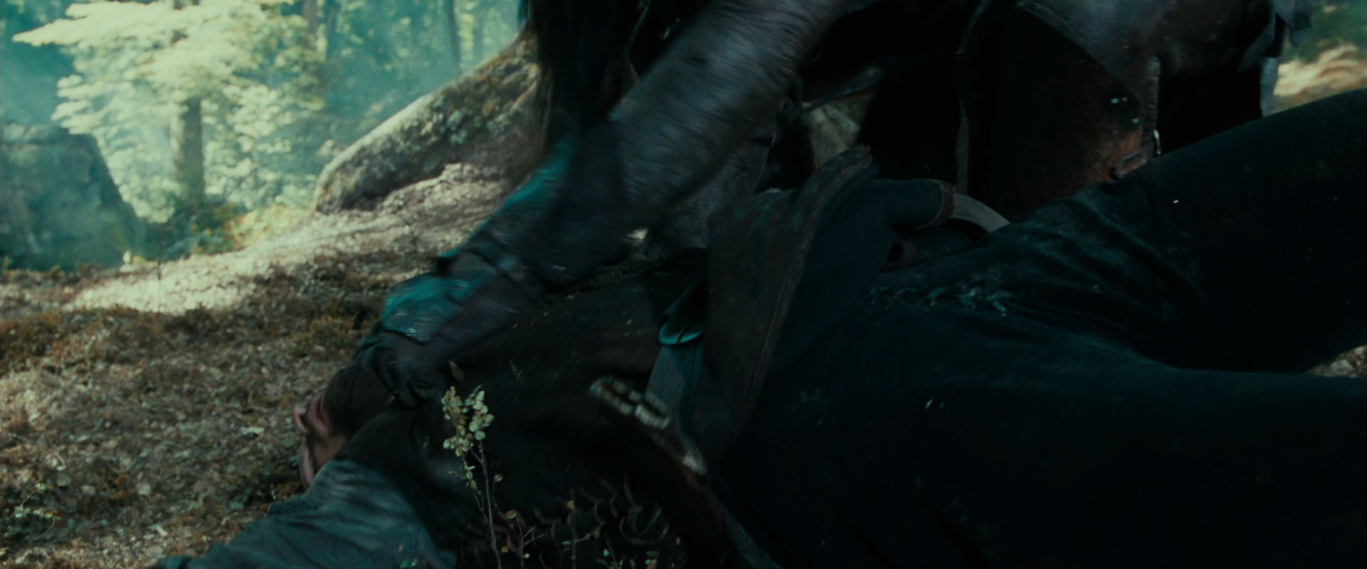 The Lord of the Rings: The Fellowship of the Ring (2001) HD screenshot 22676