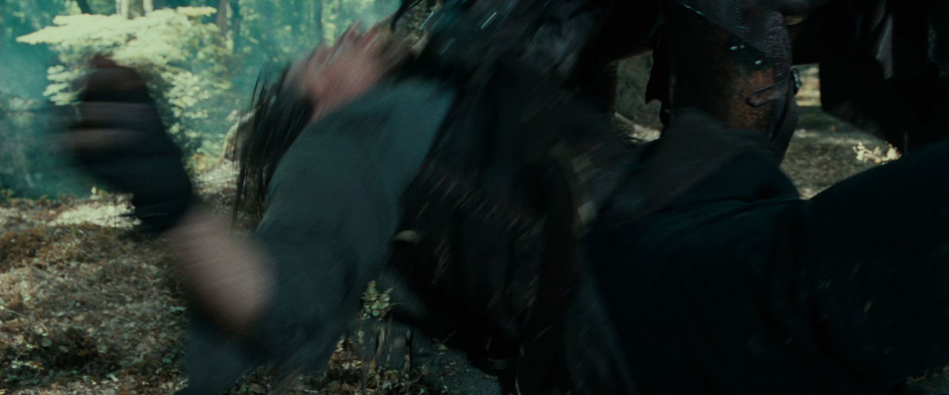 The Lord of the Rings: The Fellowship of the Ring (2001) screencap 22677