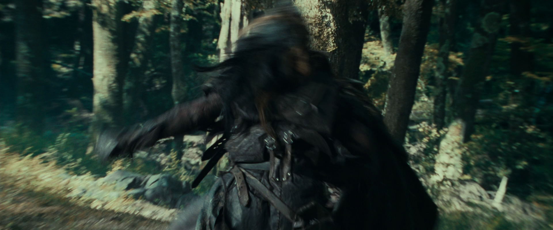 The Lord of the Rings: The Fellowship of the Ring (2001) HD screenshot 22682