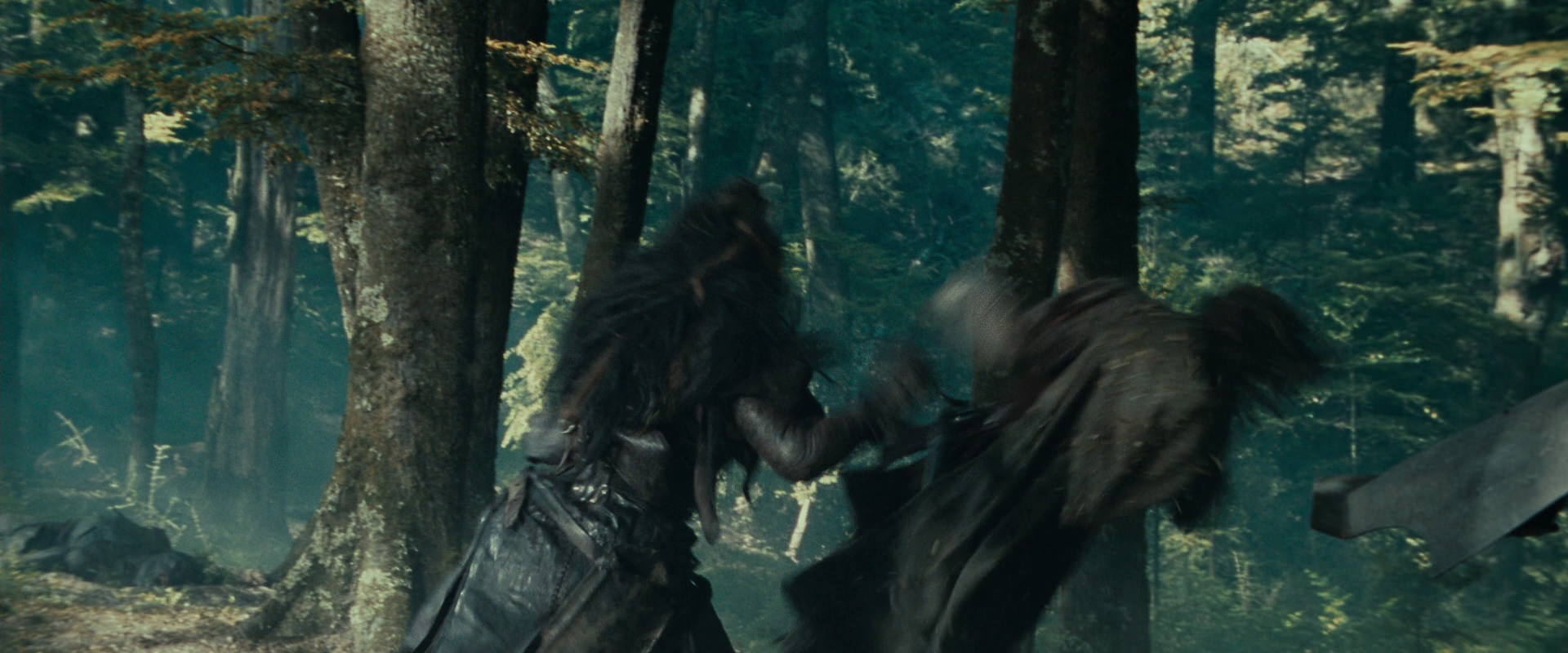 The Lord of the Rings: The Fellowship of the Ring (2001) screencap 22683