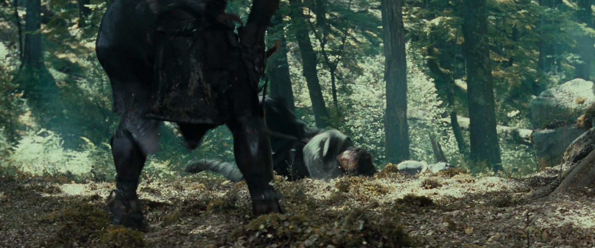 The Lord of the Rings: The Fellowship of the Ring (2001) movie still 22684