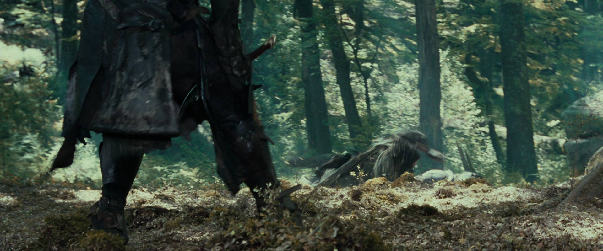 The Lord of the Rings: The Fellowship of the Ring (2001) HD screenshot 22685