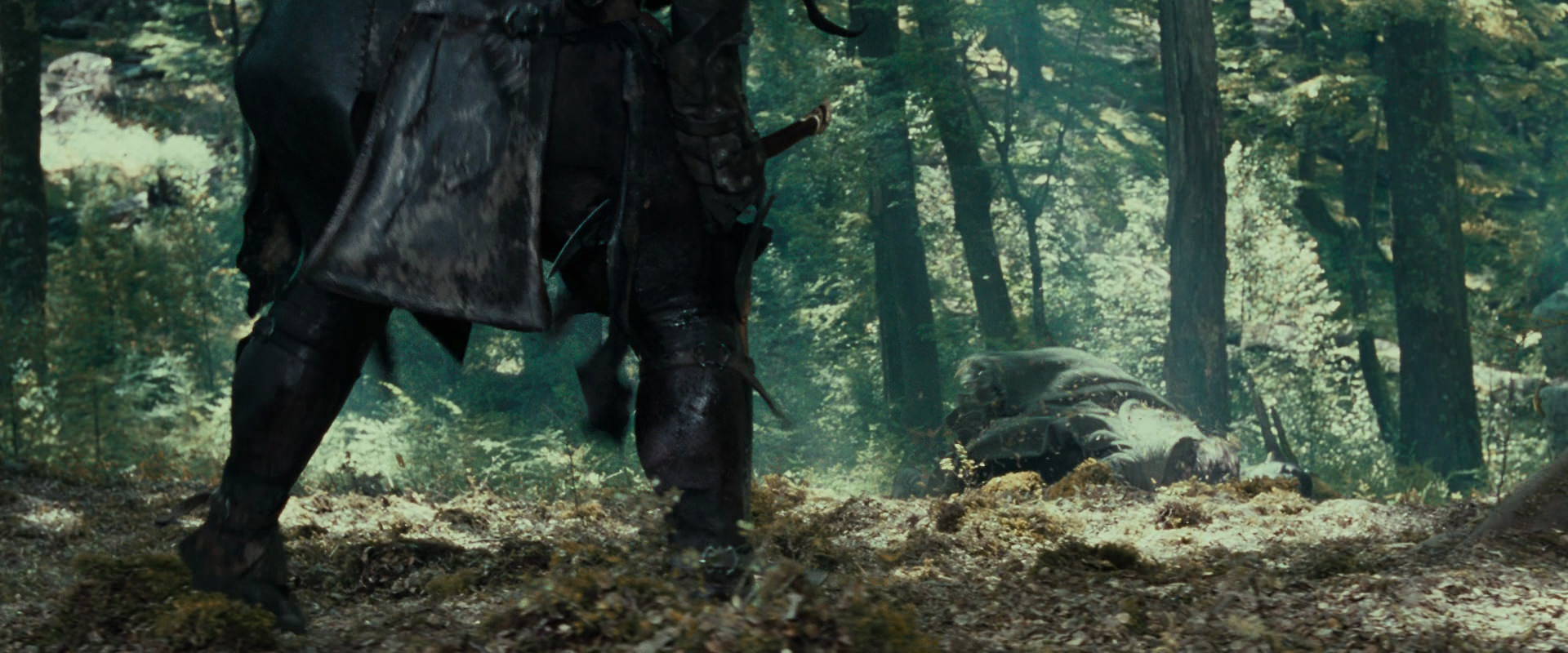 The Lord of the Rings: The Fellowship of the Ring (2001) screencap 22686