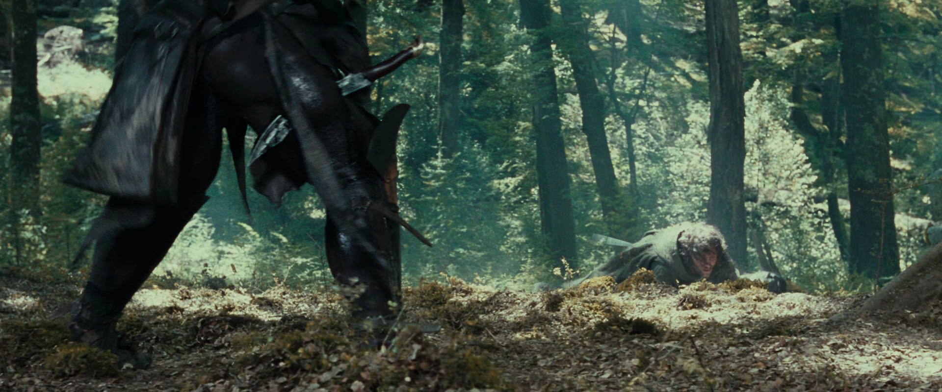 The Lord of the Rings: The Fellowship of the Ring (2001) movie still 22687