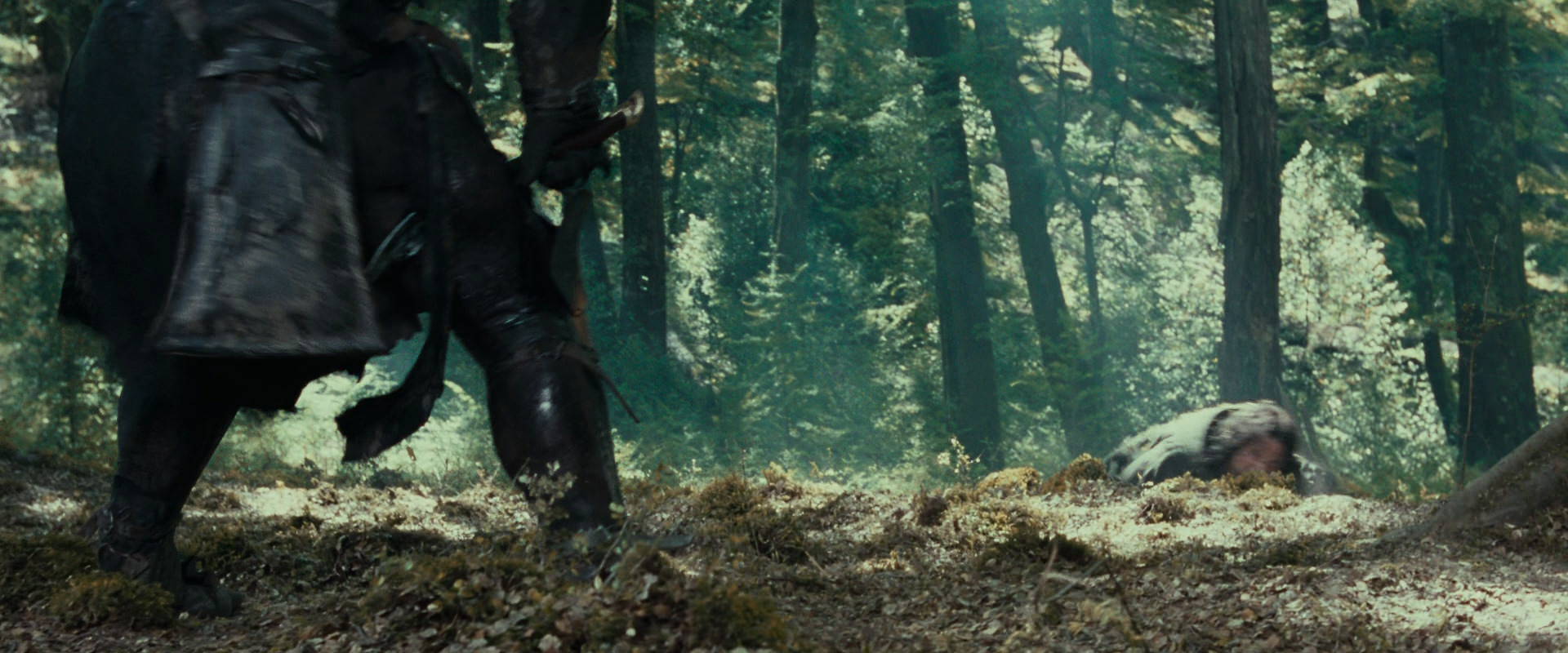 The Lord of the Rings: The Fellowship of the Ring (2001) HD screenshot 22688