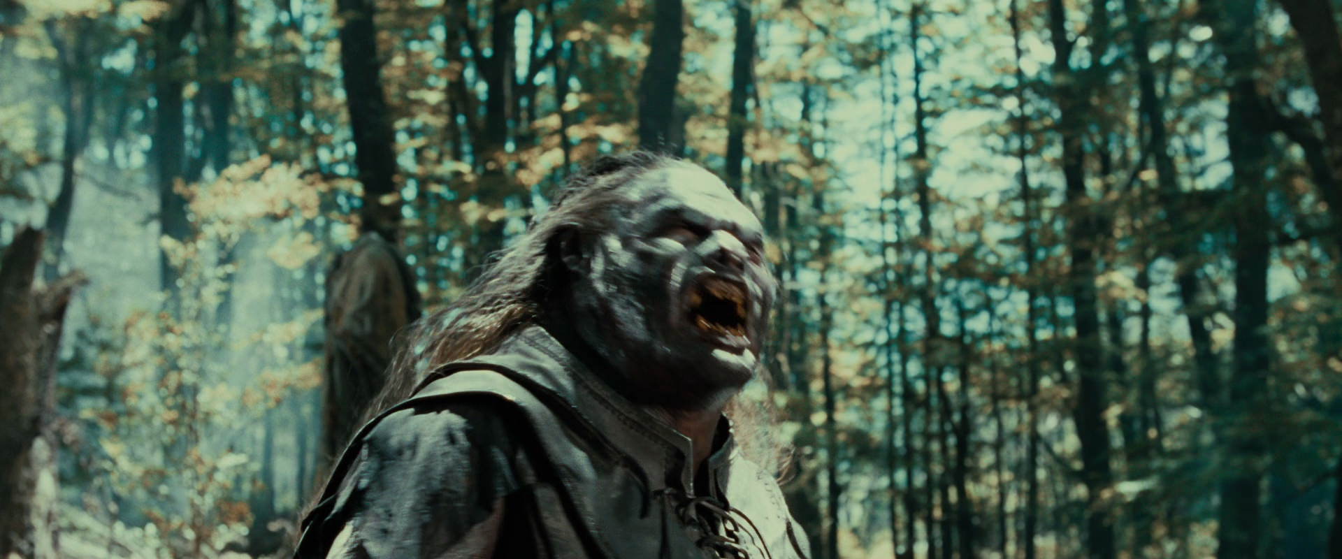 The Lord of the Rings: The Fellowship of the Ring (2001) screencap 22689