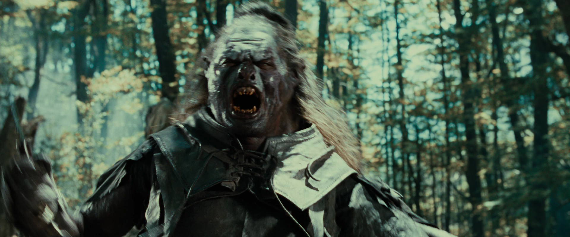 The Lord of the Rings: The Fellowship of the Ring (2001) HD screenshot 22691
